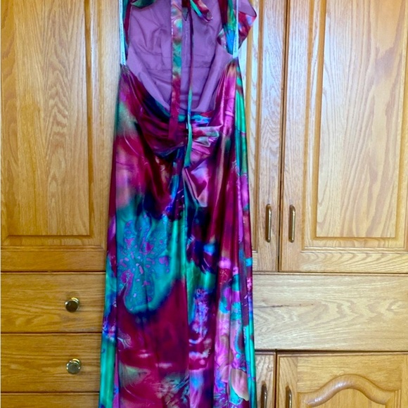 Beautiful  dress David’s Bridle - Picture 1 of 4